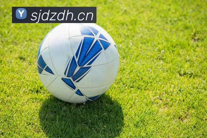 尊龙手机版下载 - 尊龙z6官网发展历程